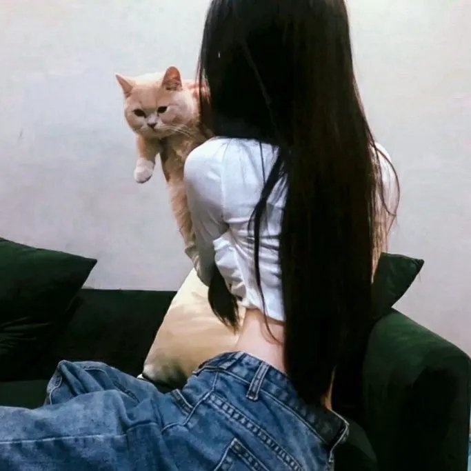 至高之牌第二季